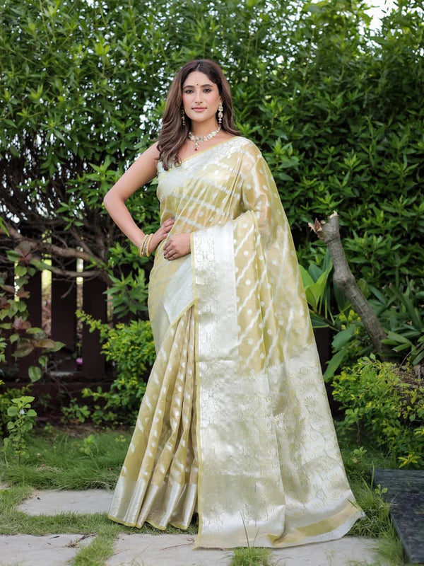 Pista Green Banarsi handloom glass tissue Saree.